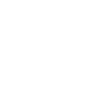 Black Desert Online Agent class icon