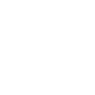 Black Desert Online Archer class icon