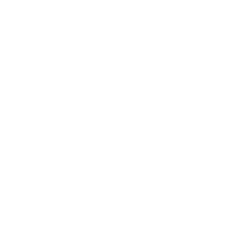 Black Desert Online Berserker class icon