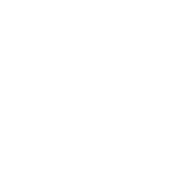 Black Desert Online Drakania class icon