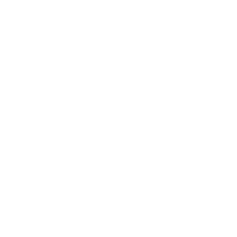 Black Desert Online Guardian class icon