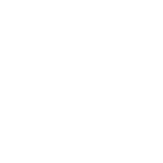 Black Desert Online Hashashin class icon