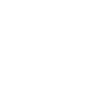 Black Desert Online Kunoichi class icon