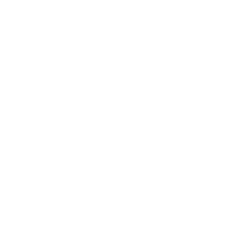 Black Desert Online Lahn class icon
