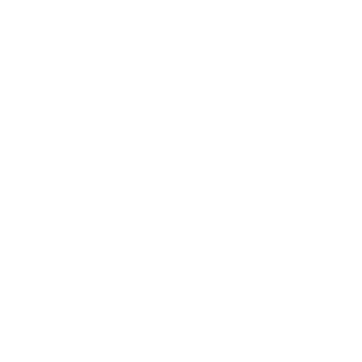 Black Desert Online Maegu class icon