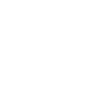 Black Desert Online Maehwa class icon