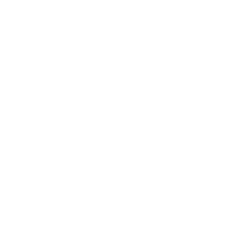 Black Desert Online Mystic class icon