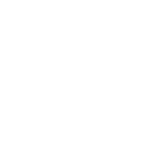 Black Desert Online Ninja class icon