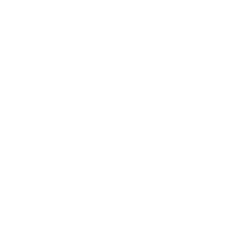 Black Desert Online Sage class icon