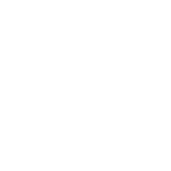 Black Desert Online Scholar class icon