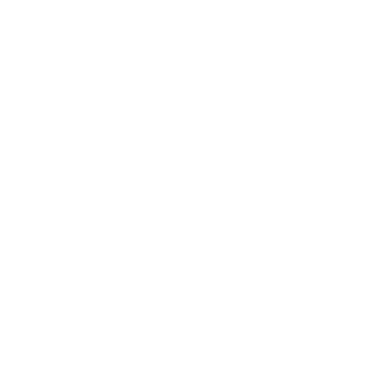Black Desert Online Shai class icon