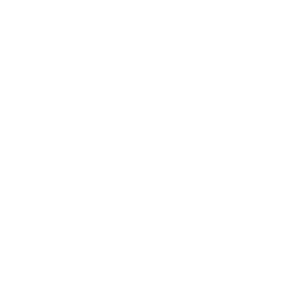 Black Desert Online Sorceress class icon