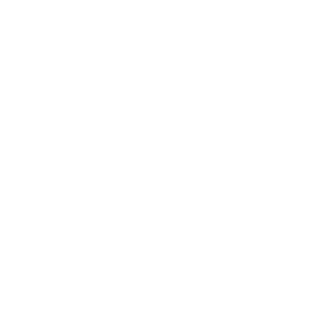 Black Desert Online Tamer class icon