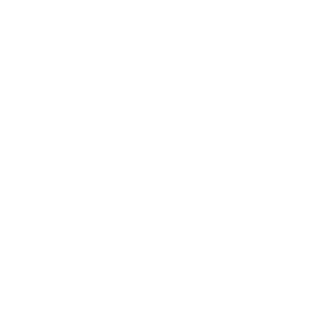 Black Desert Online Valkyrie class icon