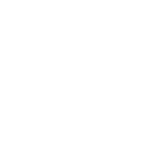 Black Desert Online Warrior class icon