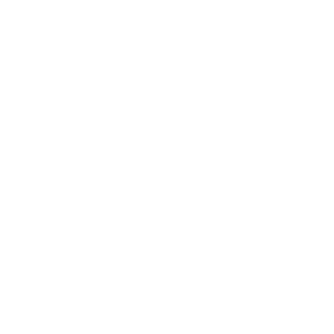 Black Desert Online Witch class icon