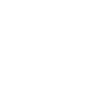 Black Desert Online Wizard class icon