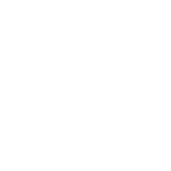 Black Desert Online Woosa class icon