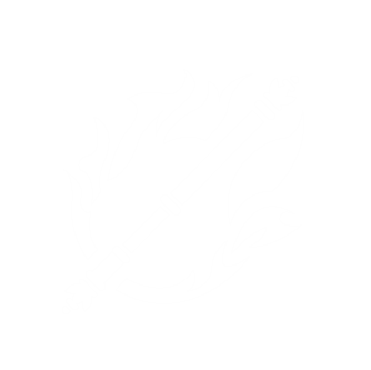 Black Desert Online Wukong class icon